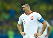 英雄联盟总决赛赛程-波兰队横扫葡萄牙队，波尔高光表现