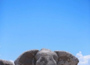 英雄联盟总决赛2025-关于阿尔及利亚篮球队壮行纳米比亚沙漠探索之旅的信息