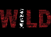 LOL决赛-伦纳德不在场，却让整场比赛变成他的回声室