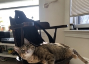 英雄联盟总决赛赛程-主控手与协奏曲，杰伦格林如何用节奏引领火箭鏖战破步行者