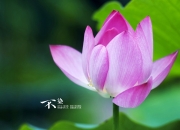 英雄联盟总决赛赛程-帝国铁骑踏碎亚特兰大，MVP觉醒全程高能输出击溃鹰群