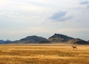 英雄联盟总决赛门票-阿圭罗数据全面爆炸！摩洛哥固若金汤的防线被他一人秒杀，巴西3-0完胜的背后是这位老将的完美转型