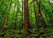 英雄联盟总决赛门票-最荒诞的夜晚，当CBA爆冷夜与F1异次元在平行宇宙擦肩而过