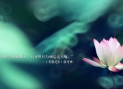 英雄联盟总决赛直播-唯一指纹，当克瓦拉茨赫利亚的左脚，在毕尔巴鄂的钢铁森林中刻下独一风暴