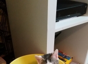 英雄联盟总决赛2025-时空裂痕，当欧文跨次元接管比赛