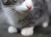 英雄联盟总决赛2025-无路之夜，他以光撕开