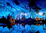 LOL赛事-当黄绿血脉注入东方基因，马克西关键战不软，凯尔特人巅峰对决险胜上海队