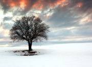 英雄联盟总决赛时间-劳塔罗一剑封喉，绝境中国米找到他们的唯一答案