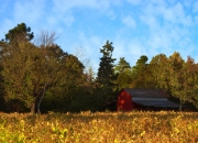 英雄联盟总决赛直播-凯恩的子弹击穿摩纳哥，荷兰的利刃在最后0.01秒出鞘