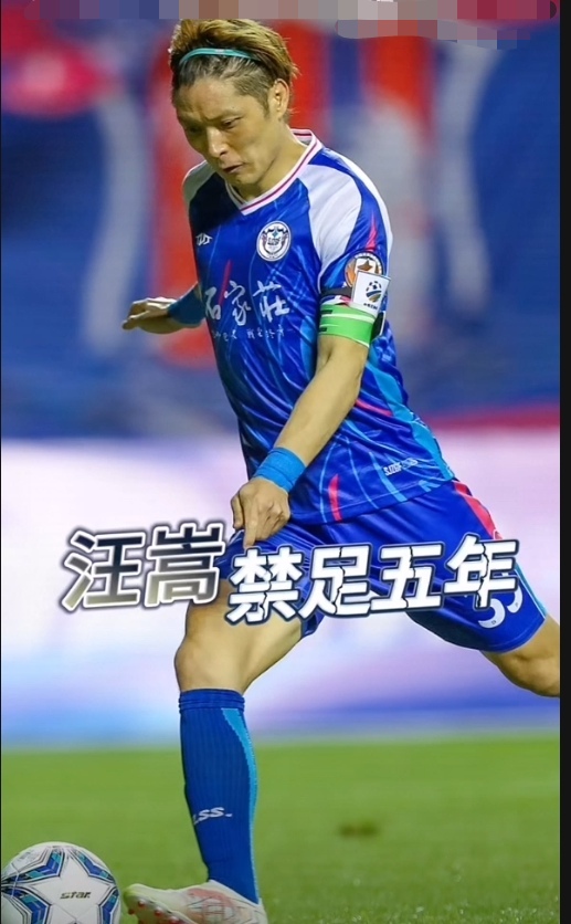 汪嵩：退役后我将继续支持国内足球！的简单介绍