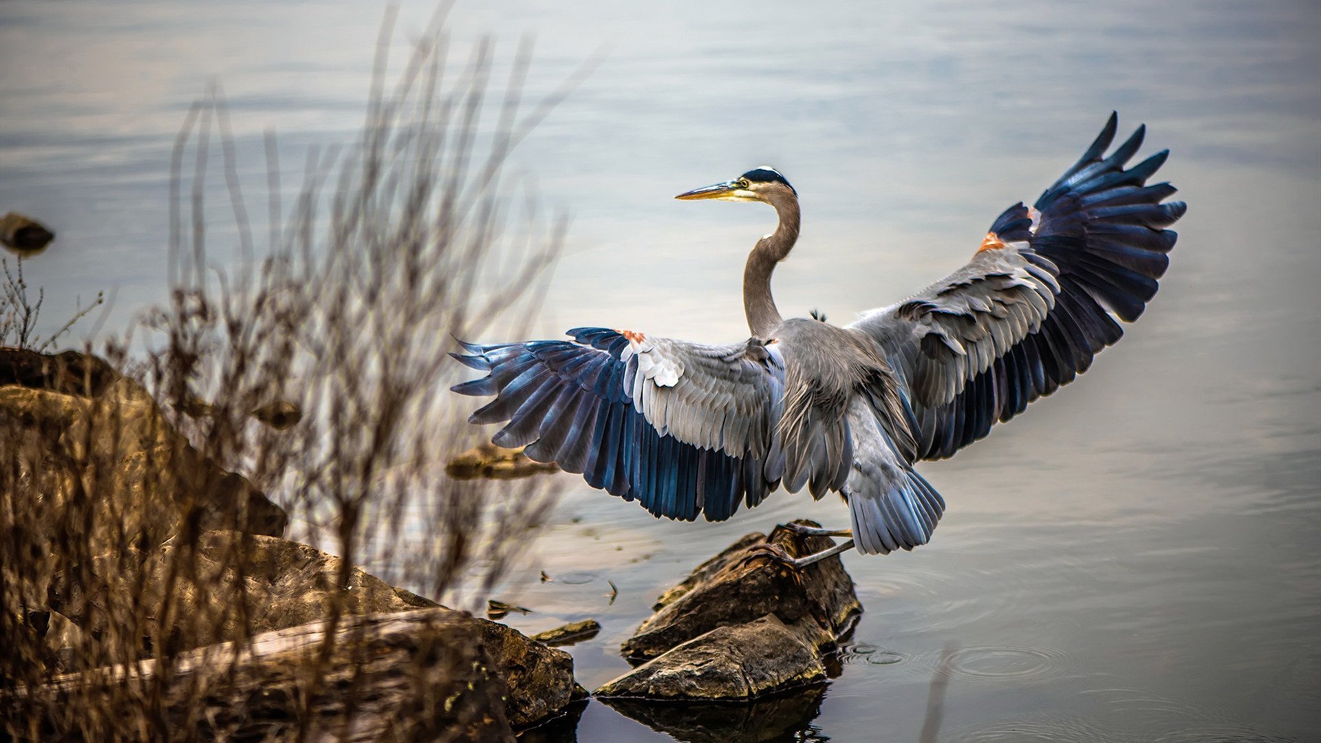 火光与利刃,诺坎普之夜,莱万的弑神时刻