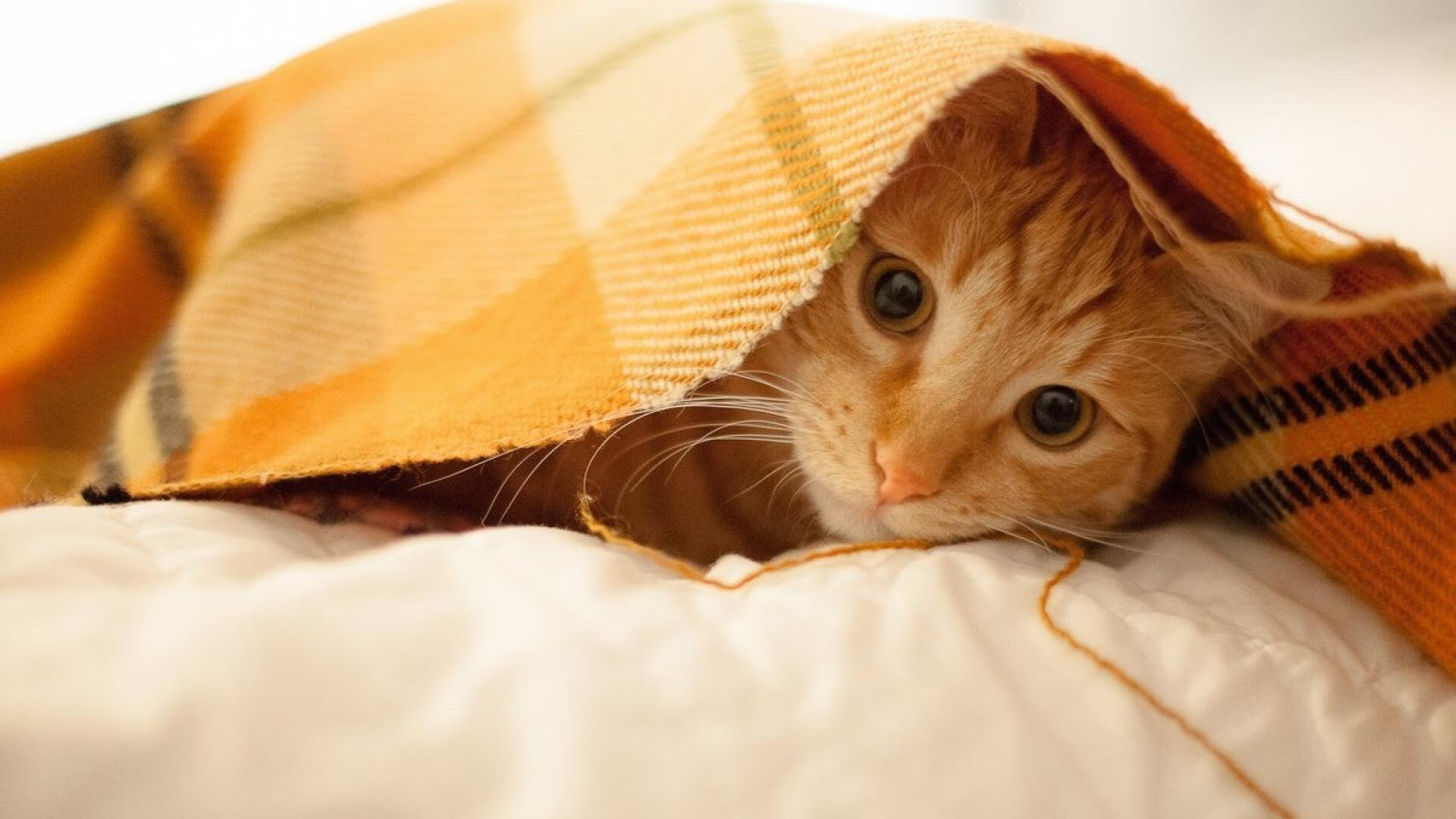 雷霆爆冷火箭,当复仇之火点燃,贝恩便是那道撕裂黑暗的雷霆