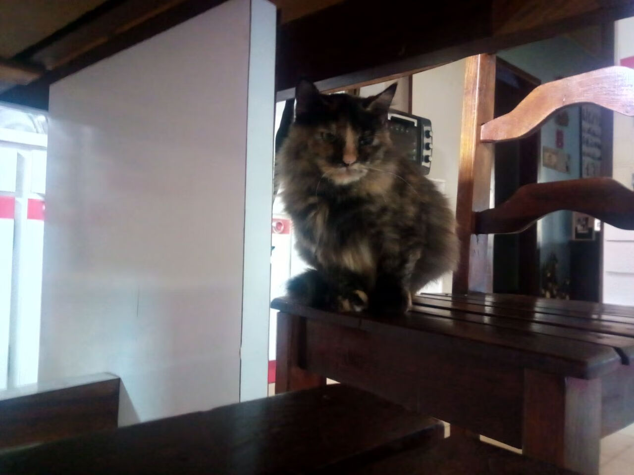 火焰与凛冬,小贾伦以魔术之名,为广东队刻下终章