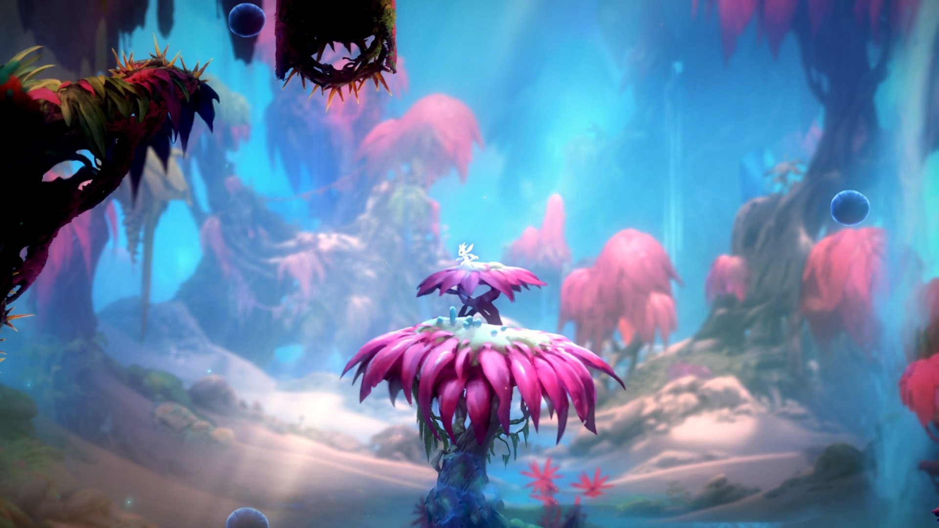 压哨绝杀,一锤定音!小贾伦完成角色逆袭,成为魔术关键先生