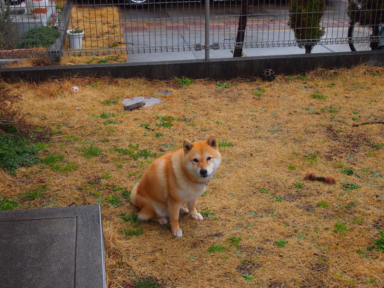 新赛道上的轮胎尖叫，当F1加拿大站映照美加缠斗