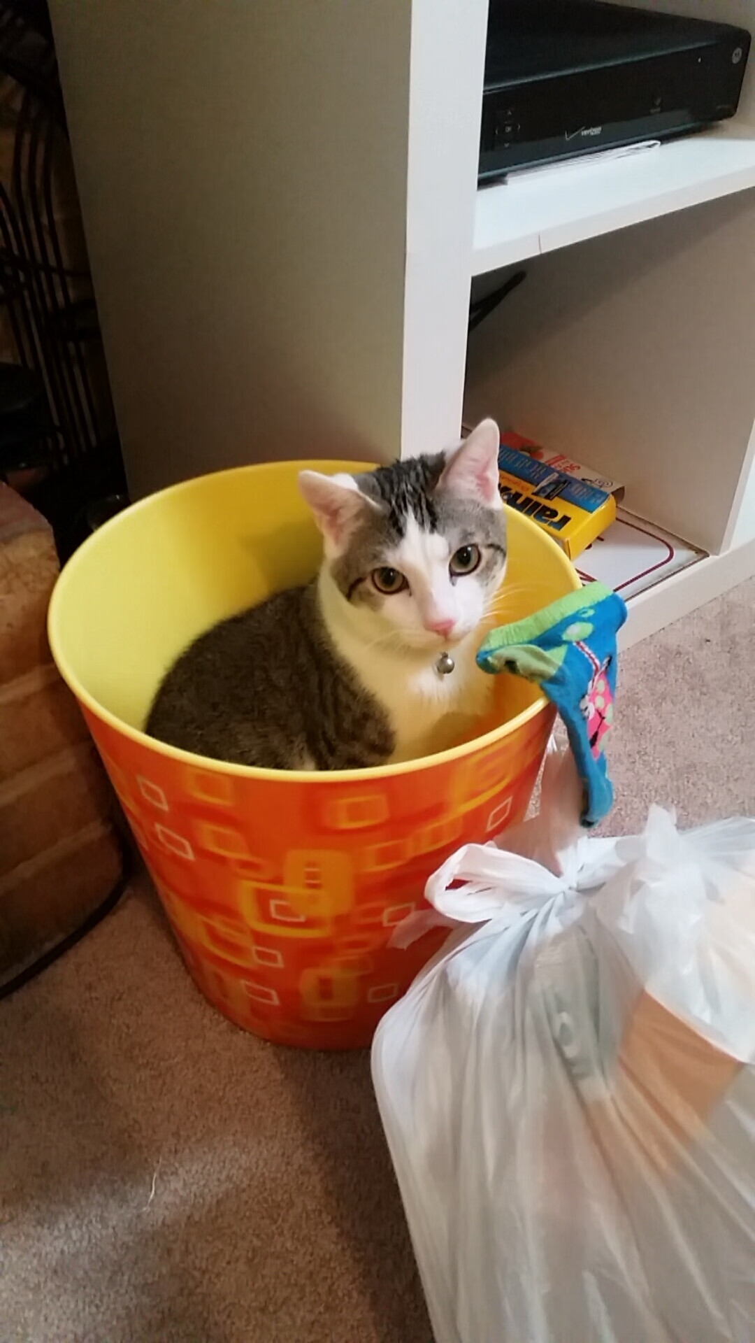 时空裂痕，当欧文跨次元接管比赛