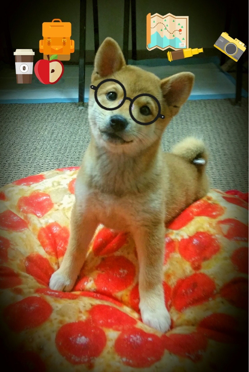 双星闪耀时空，从丰田中心到马尼拉—英格拉姆的统治力跨越赛场与未来