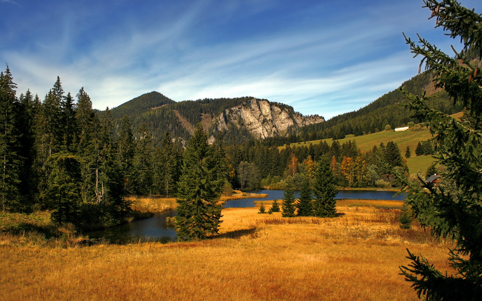 双重赛场上的唯一真理，压力即王权