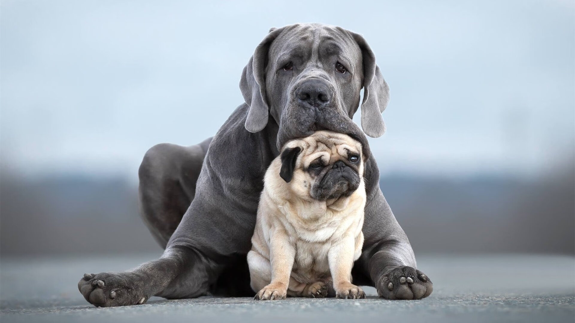 绝境炼金术,当不可能被改写,金玟哉如何成为抗乌拉圭的钢铁长城