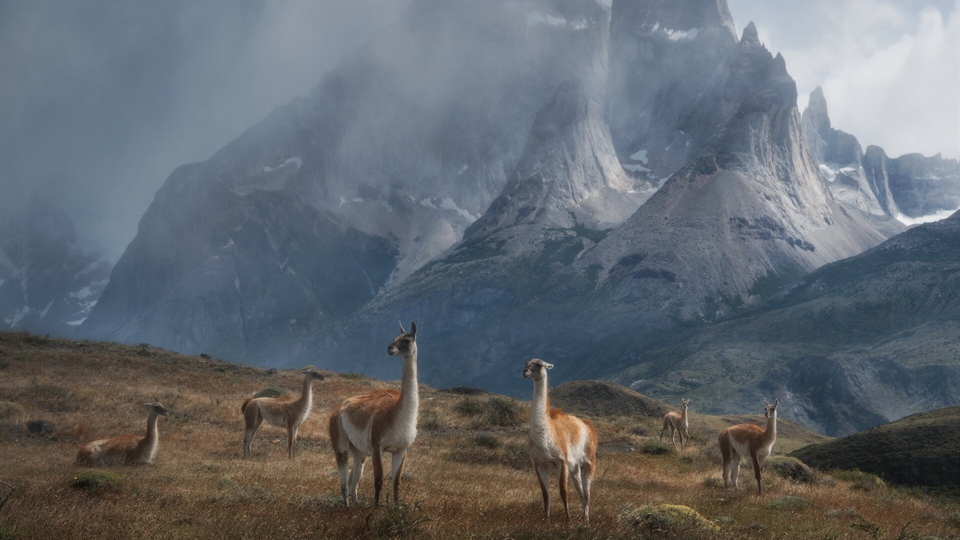 双线破局,从汽车城坚韧到巴林赛道,竞技体育的不变信条