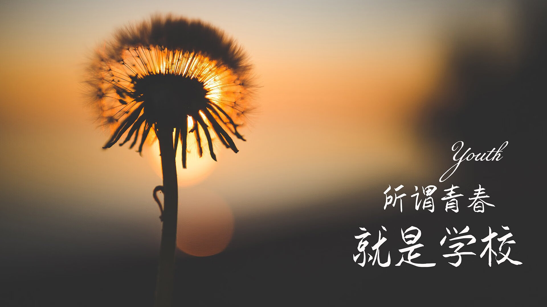 2026世界杯黑马之战,匈牙利铁骑碾压智利,拉什福德独舞点燃北美夜空
