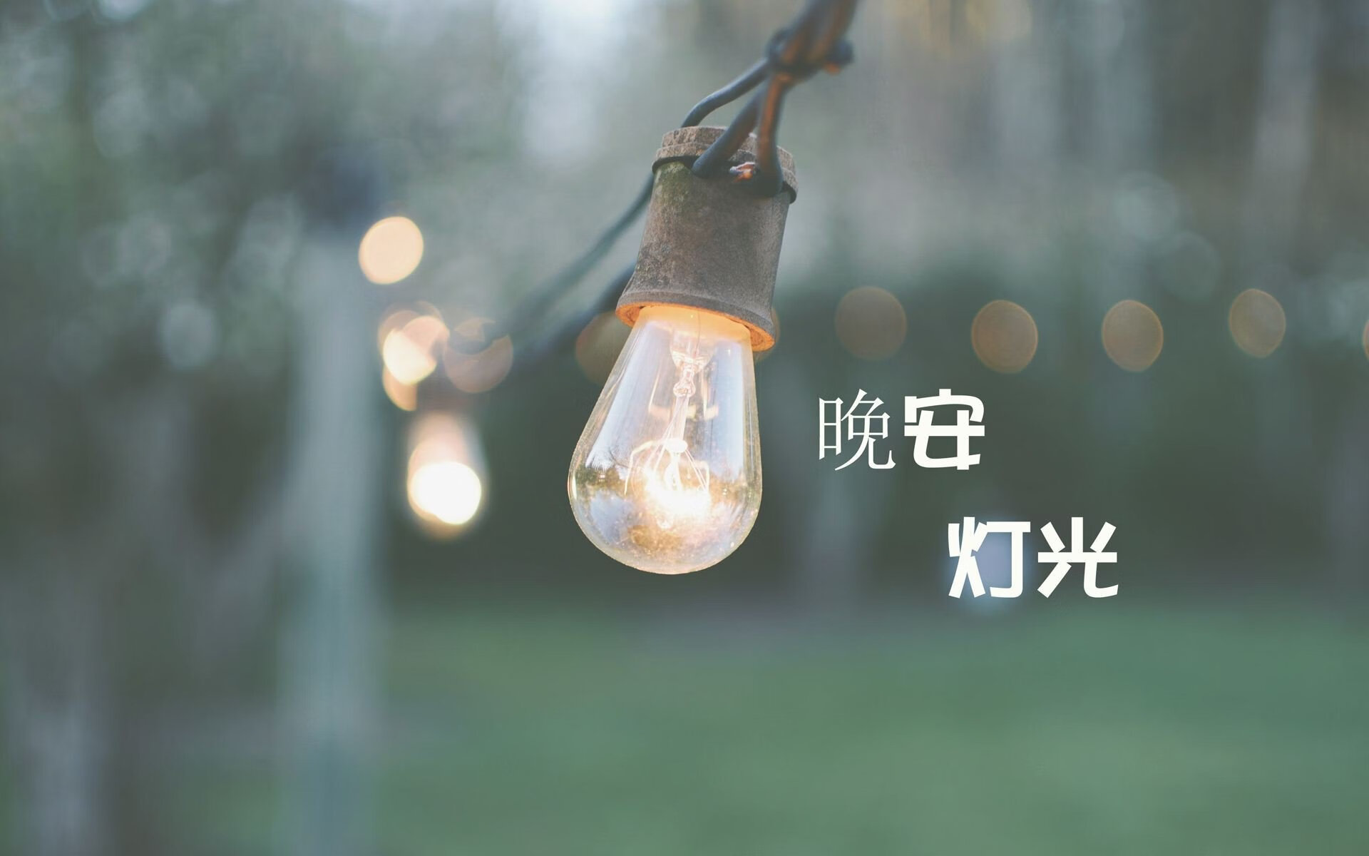 亚平宁的火焰,2026世界杯H组生死战,坎塞洛的黄金右翼照亮韩国队防线